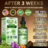 BuildLeaf® GLP-1 Moringa Slimming & Health Boost Drops