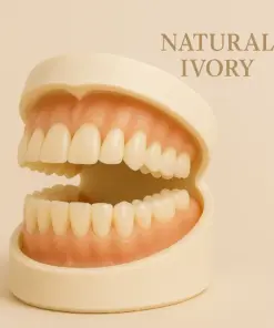 DIYSTAR™ - Premium Denture Set