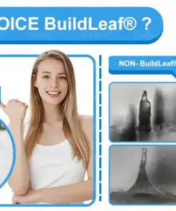 Buildleaf® Tirzepatide Slimming & Health Nano Microneedle Patch
